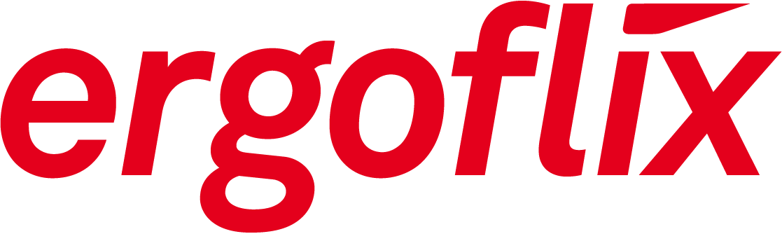 ergoflix Logo